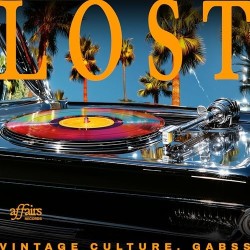 VINTAGE CULTURE, GABSS - Lost